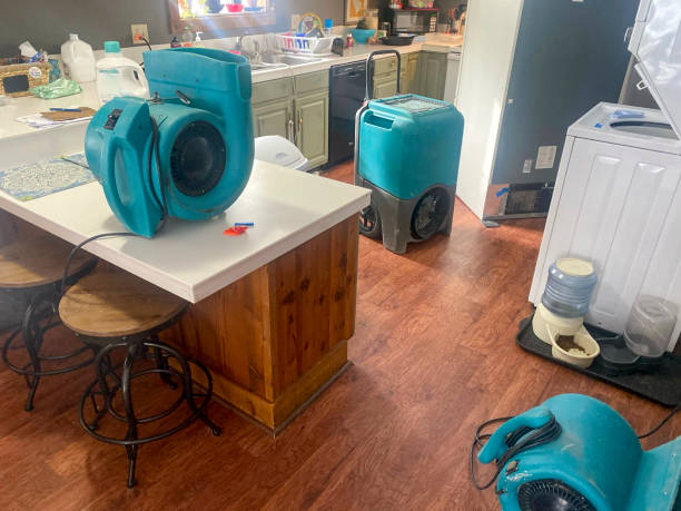  Stony Point, NC Water damage restoration Pros