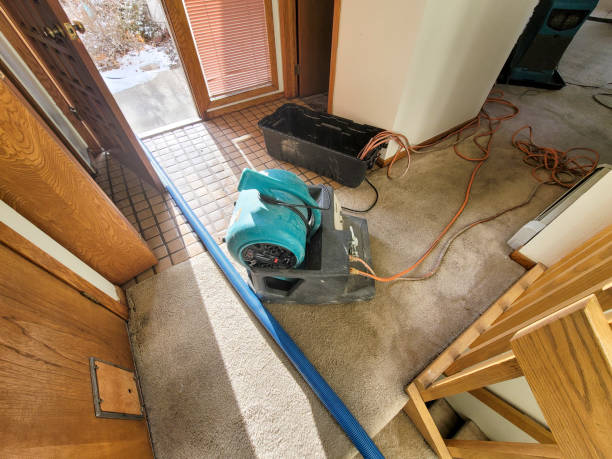 Best Fire Damage Restoration  in Stony Point, NC