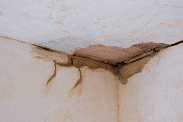 Best Water damage contractors near me  in Stony Point, NC